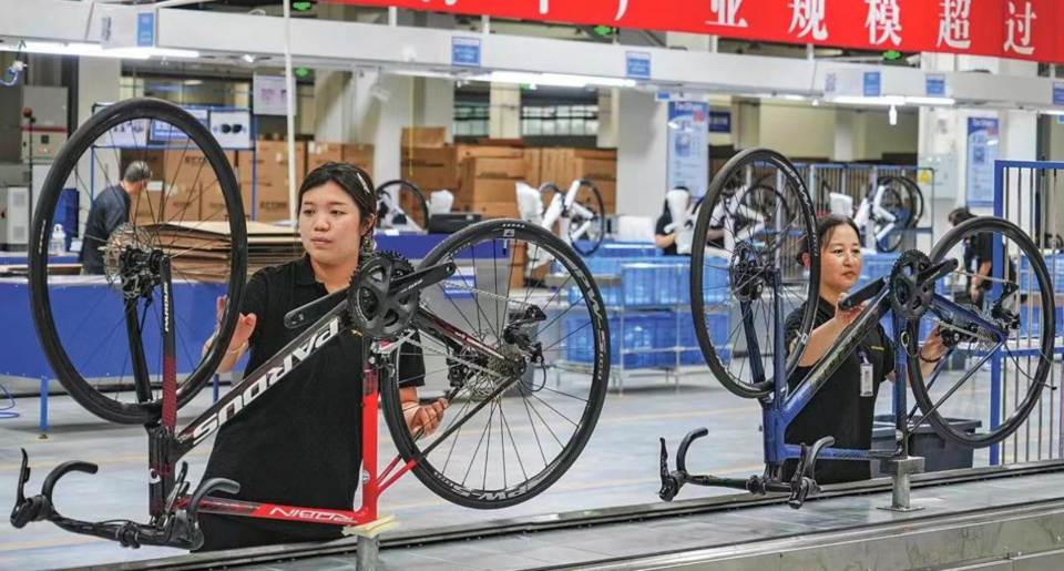 瑞斯
