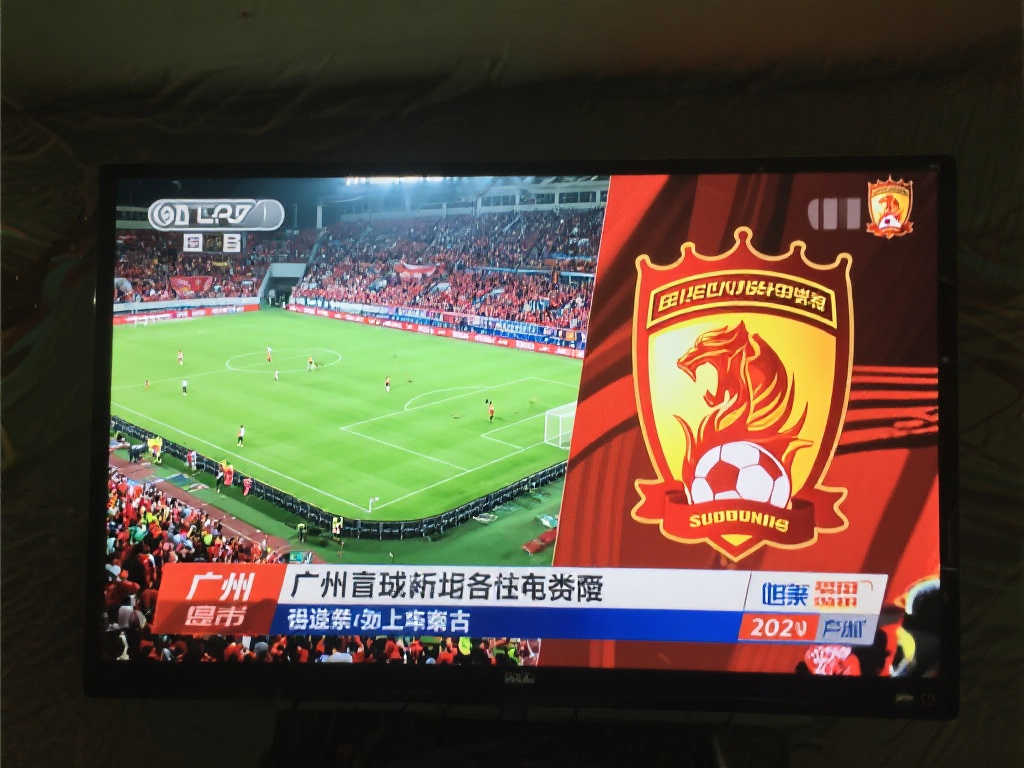 是体育的内 是体育的内