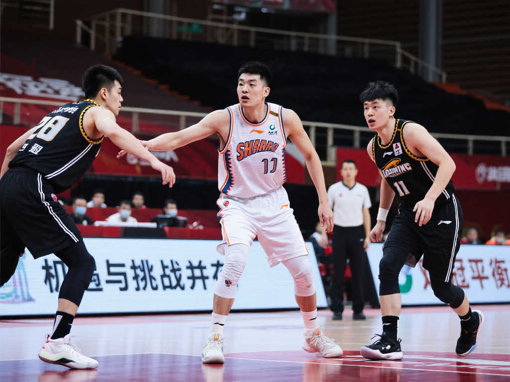 在现阶段获 在现阶段获