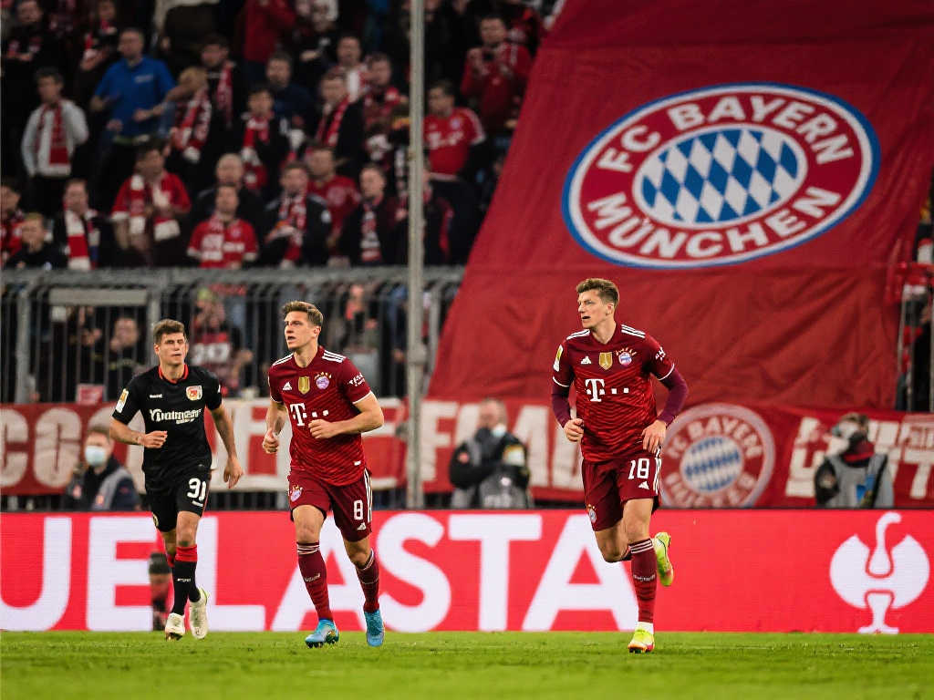 他的加盟不 他的加盟不