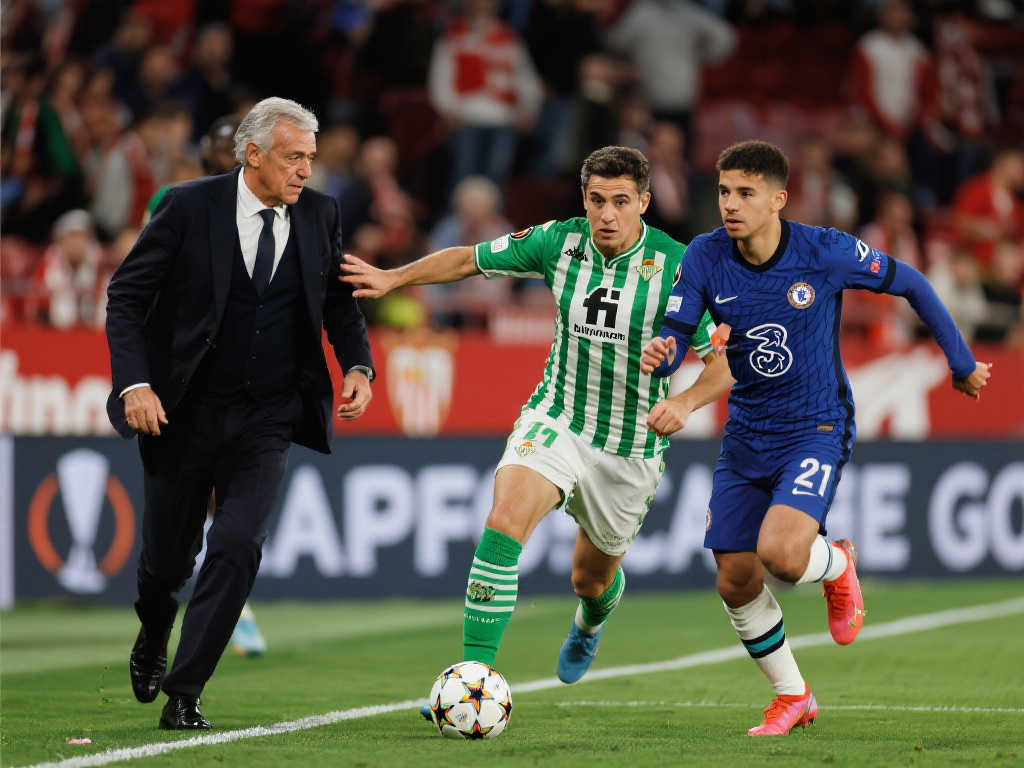 特别是在 特别是在